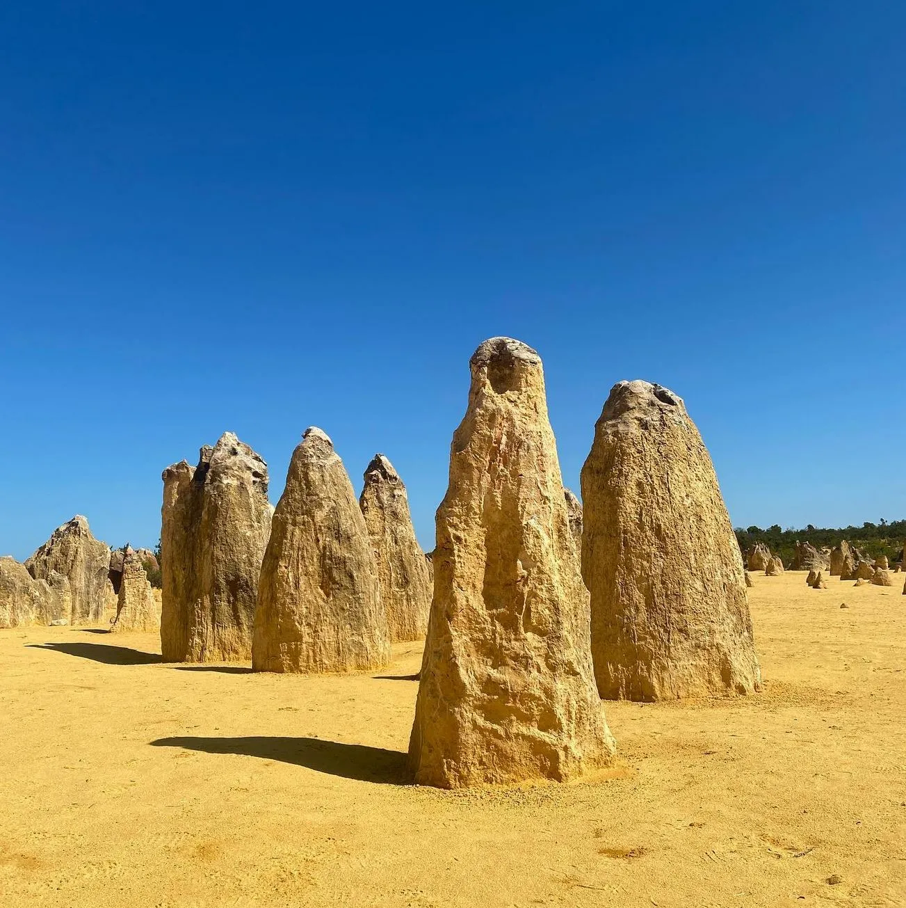 Best Time to Visit Pinnacles Desert