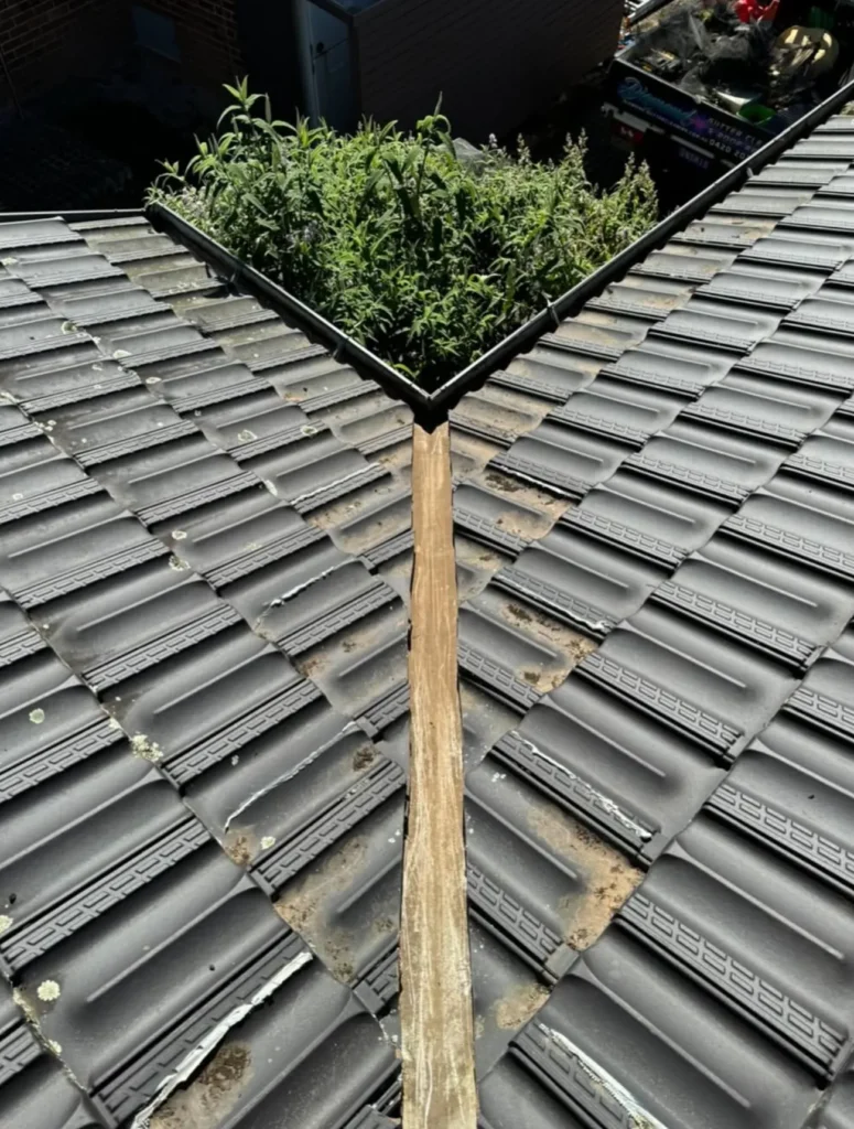 Gutter Vacuum Benefits