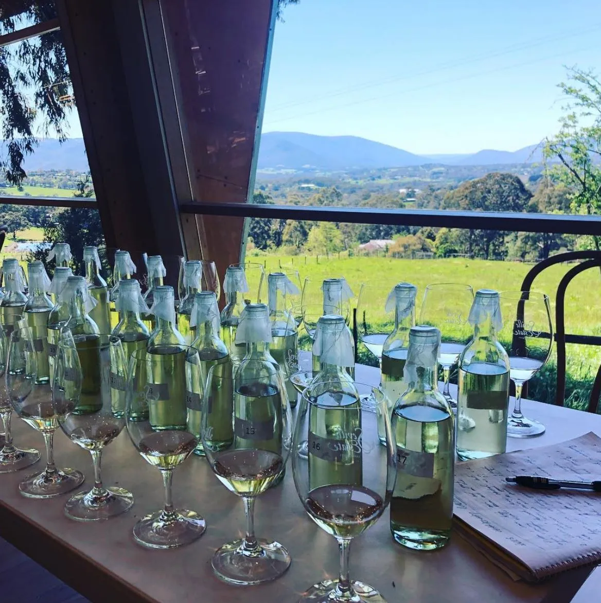 How to Get Around Yarra Valley Wineries