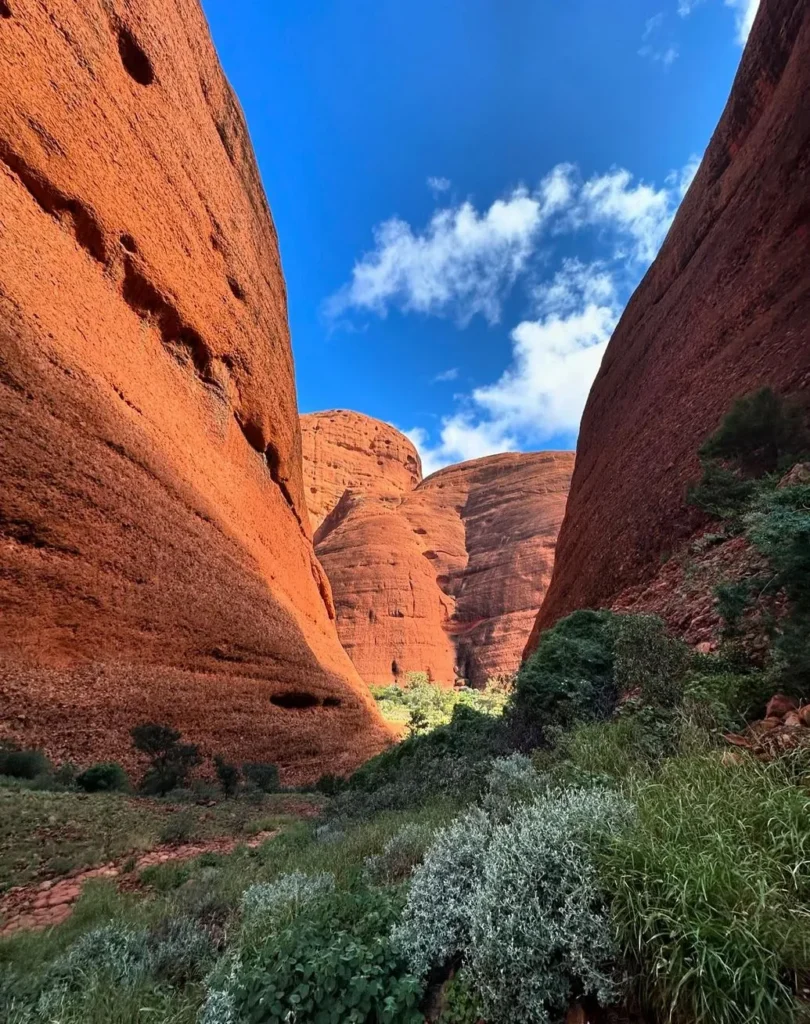 Kata Tjuta