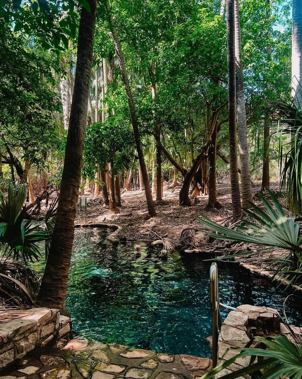 Katherine Hot Springs, Northern Territory