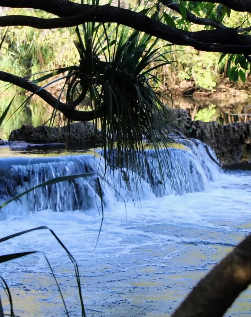 Mataranka Falls