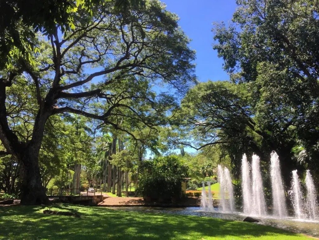 The George Brown Darwin Botanic Gardens