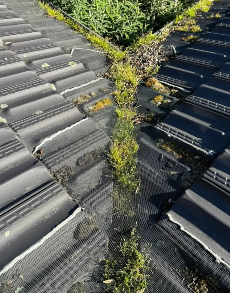 Why Gutter Vacuum Cleaning Is Important