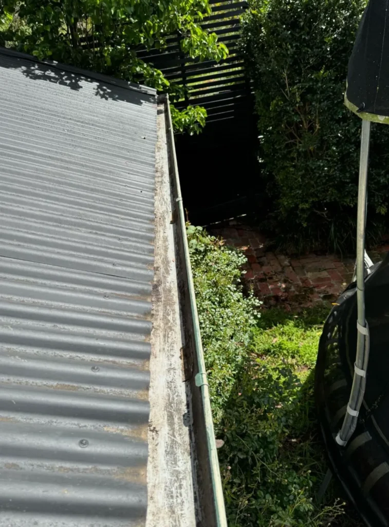 Why Professional Gutter Cleaning