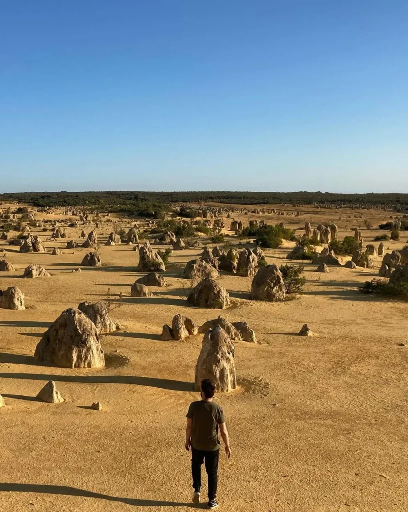 the Pinnacles Desert